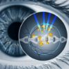 Lutein and Zeaxanthin Eye Health Supplement by Codeco OMNI Eye Care